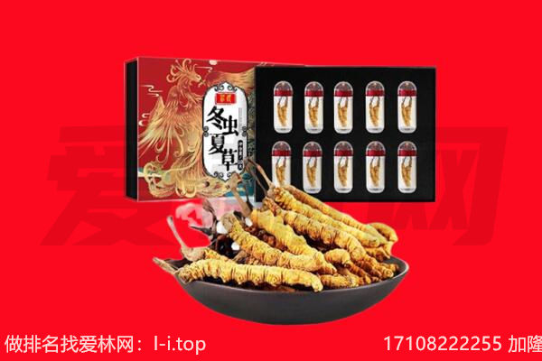 恩施利川市回收虫草.jpg